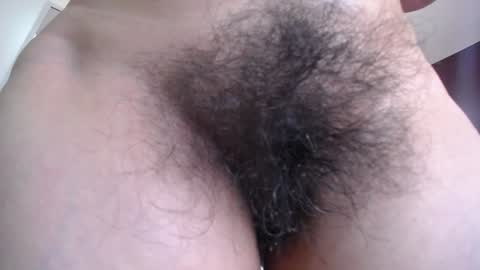 moxa hot online show from January 15, 8:09 am