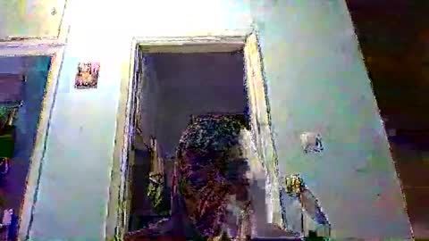 mppempis81 online show from February 4, 8:25 pm