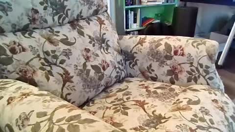 mr_atwood online show from August 6, 6:43 pm