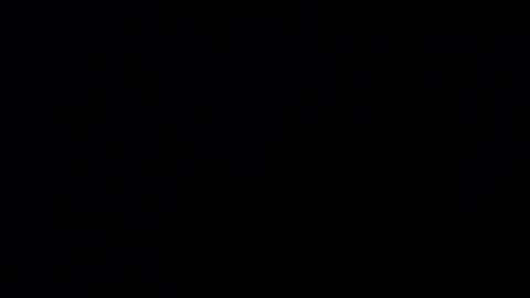 mrbillxxx online show from April 14, 12:22 pm