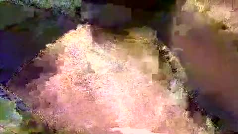 Mr boom online show from May 4, 7:54 pm