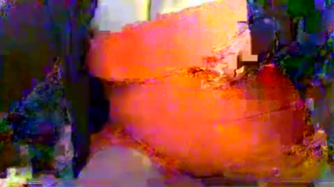 Mrs Venus online show from July 25, 10:51 pm