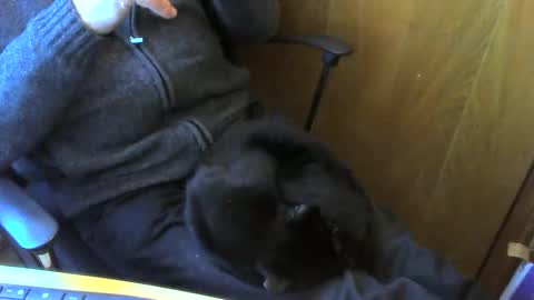 muller520 online show from April 13, 3:50 pm