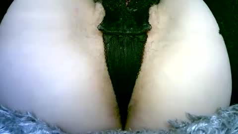 my_tightholes online show from February 2, 6:50 pm