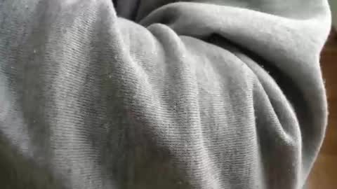 Ben online show from April 23, 9:08 am