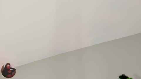 INSTAGRAM  m2221     online show from February 19, 10:00 am