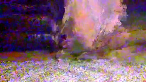 naughty__hotty online show from March 15, 7:25 am