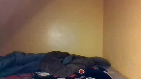 Bree doll online show from April 26, 8:39 pm