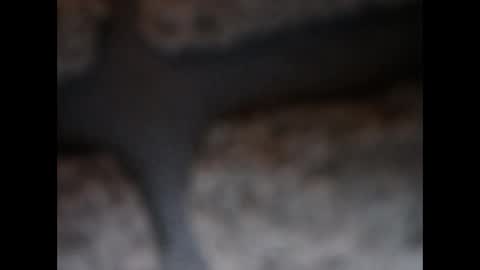 naughtypanties123 online show from March 11, 6:08 am