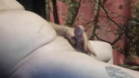 ned is naughty online show from March 7, 10:45 am