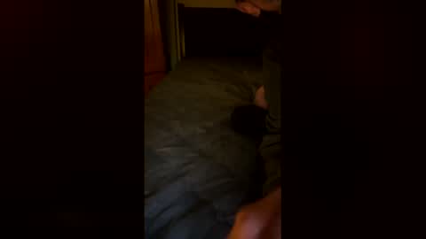 netgear70 online show from December 17, 5:46 am