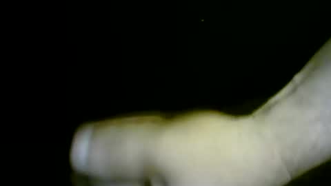 nicholaastavrou19 online show from April 1, 12:00 am