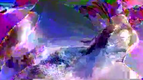 Nickyfruit online show from October 8, 8:56 am