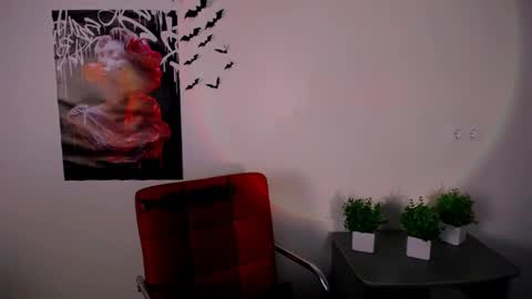 nikonara_ online show from February 12, 4:11 pm