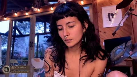 Nina.  online show from February 22, 9:24 pm