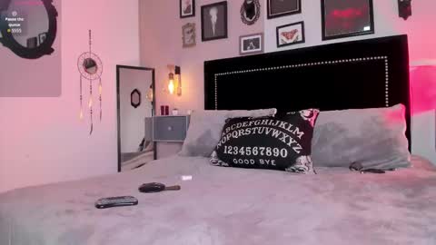 Alisson online show from February 8, 8:01 pm