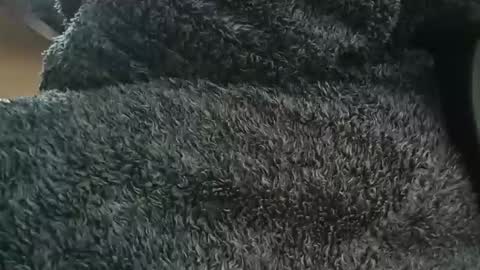 nineinchhard online show from April 1, 10:38 am