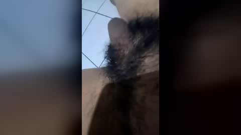 nnndft online show from July 21, 7:16 pm