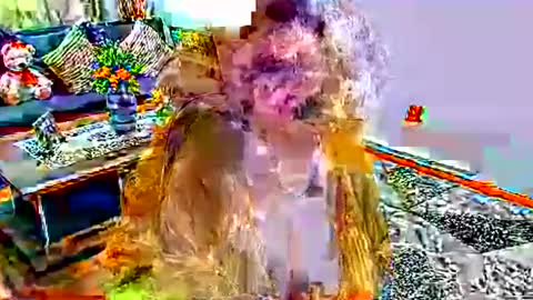 noraj66 online show from March 23, 1:59 pm