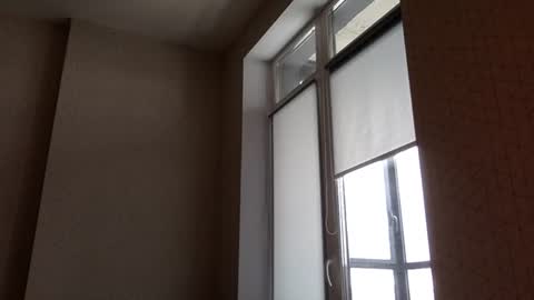 Snapshot of north_justin chatting on March 5, 12:23 pm Justin online show from March 5, 12:23 pm