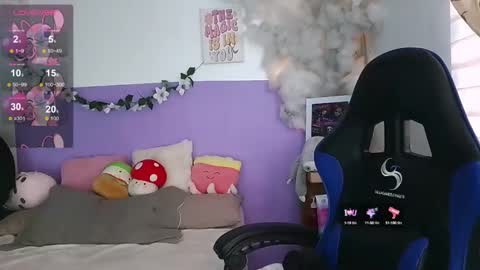 NORTH online show from February 6, 12:16 pm