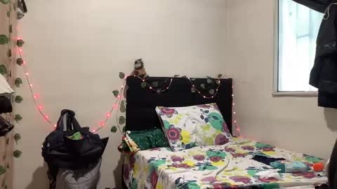 NOVA online show from October 19, 3:34 pm