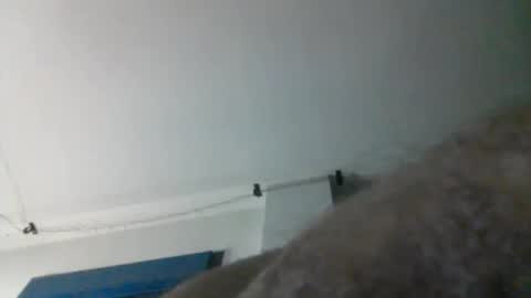 nqbzawcgchyk online show from March 13, 2:29 am