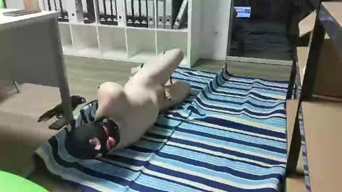 Snapshot of numlove chatting on February 18, 11:33 am Slave for Mistress and Master online show from February 18, 11:33 am