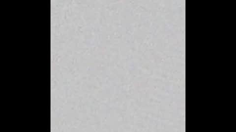 Obsidian stallion online show from December 21, 5:20 pm