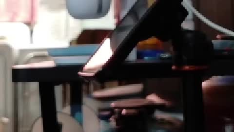 Snapshot of obsidian_stallion chatting on July 19, 10:35 pm Obsidian stallion online show from July 19, 10:35 pm