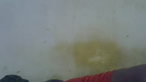 Paloma online show from May 16, 11:46 pm