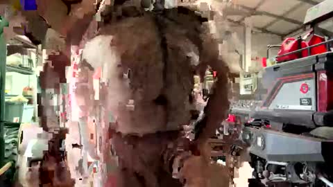 odang_13 online show from February 21, 10:55 pm