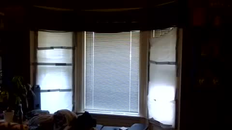 oscar flores online show from April 6, 1:12 pm