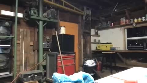 ofthatguy online show from March 21, 8:19 am