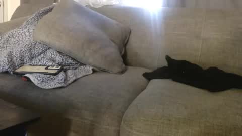 Snapshot of ogdigbick chatting on November 4, 2:16 pm OGDigBick online show from November 4, 2:16 pm