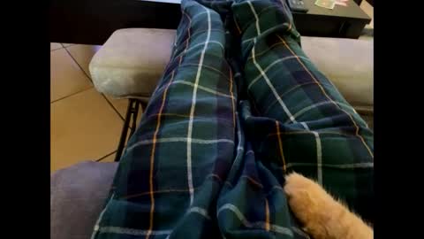 oggs48 online show from October 28, 12:09 pm