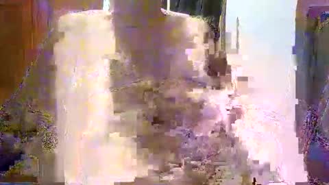 William online show from December 21, 7:48 am