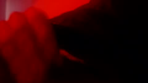 oliveoil67 online show from February 8, 4:32 pm