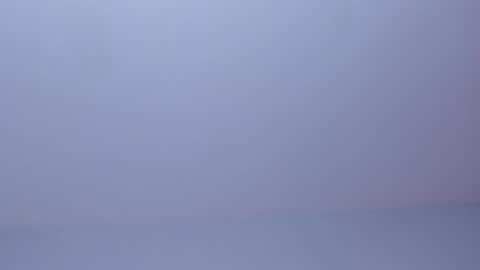 OLIVIA online show from March 31, 2:35 am