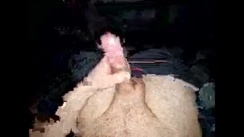 opelator online show from January 27, 6:20 pm