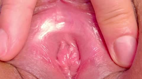 orchidekitty online show from May 31, 1:03 am
