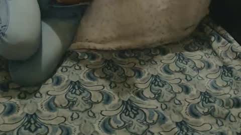 originalcali95 online show from February 3, 4:32 am