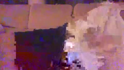 pallavolista73 online show from May 26, 2:18 am