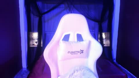  P A M  online show from February 27, 8:25 am