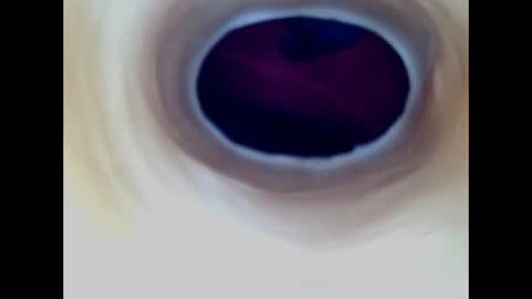 Paula 18 Aninhos online show from March 27, 9:25 pm