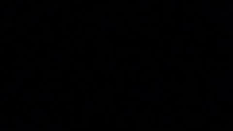 Paul online show from April 20, 6:42 pm