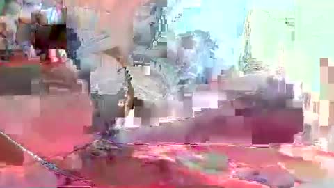 Coco channel  online show from January 10, 8:29 am