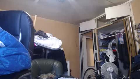 pc8474408 online show from March 1, 5:04 pm