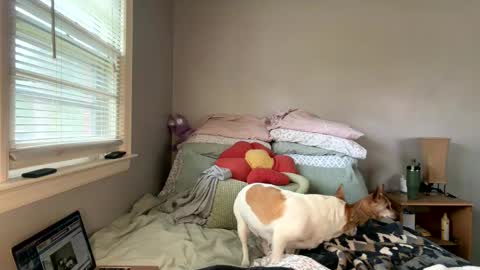 pegggggysue69 online show from March 20, 7:30 pm