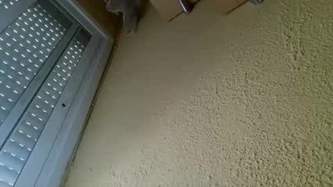 perales_12345 online show from April 19, 10:25 am